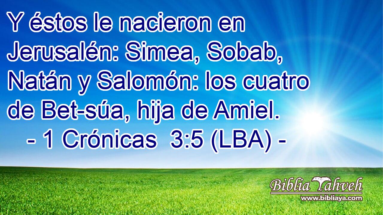 Y éstos le nacieron en Jerusalén: Simea, Sobab, Natán y Salomón: los cuatro de Bet-súa, hija de Amiel.