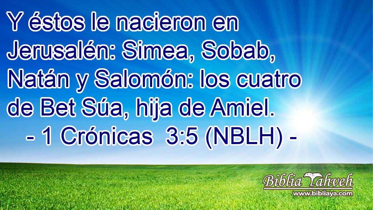  Y éstos le nacieron en Jerusalén: Simea, Sobab, Natán y Salomón: los cuatro de Bet Súa, hija de Amiel. 