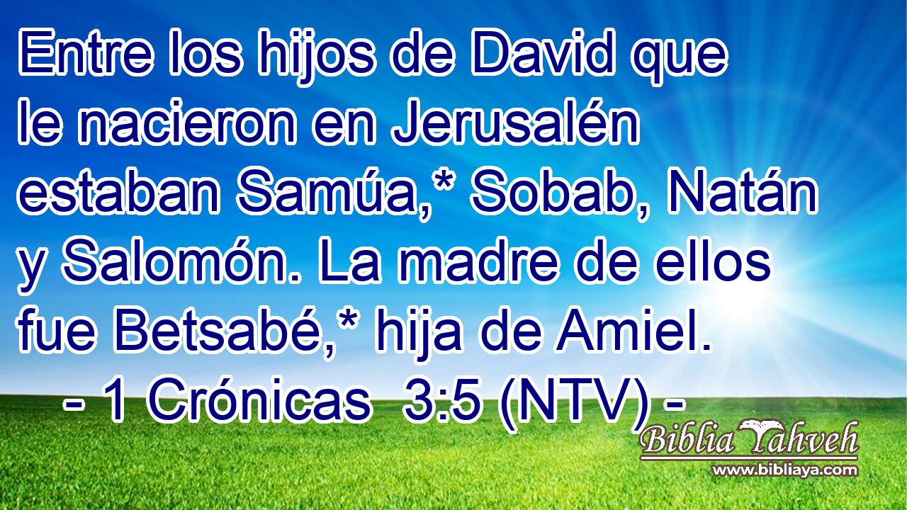 Entre los hijos de David que le nacieron en Jerusalén estaban Samúa,* Sobab, Natán y Salomón. La madre de ellos fue Betsabé,* hija de Amiel.