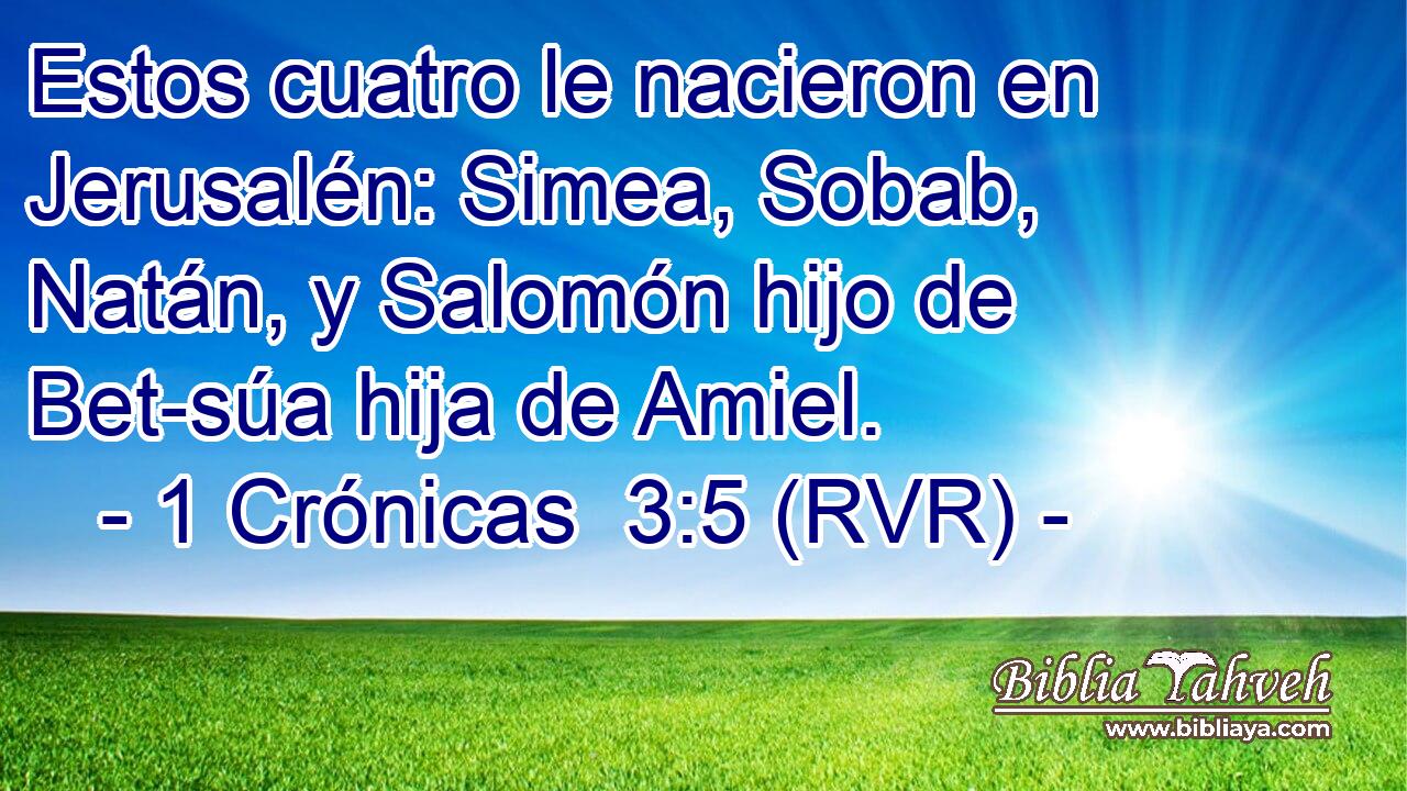 Estos cuatro le nacieron en Jerusalén: Simea, Sobab, Natán, y Salomón hijo de Bet-súa hija de Amiel.