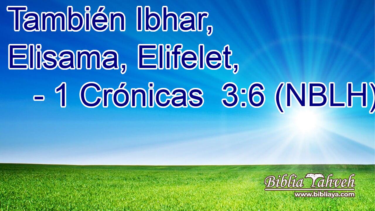  También Ibhar, Elisama, Elifelet, 