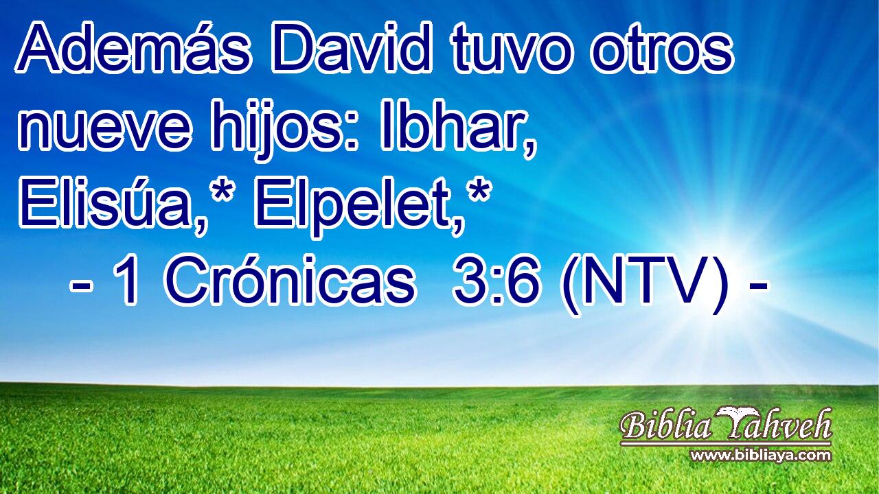 Además David tuvo otros nueve hijos: Ibhar, Elisúa,* Elpelet,*
