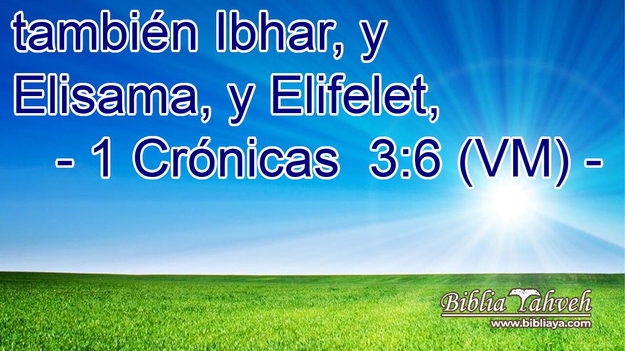 también Ibhar, y Elisama, y Elifelet, 