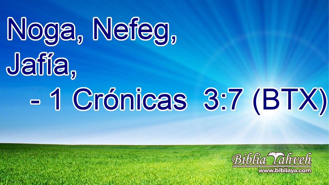 Noga, Nefeg, Jafía,