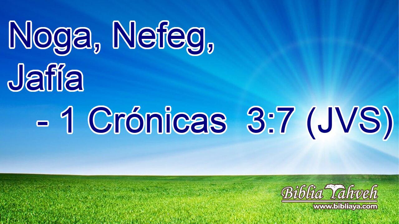 Noga, Nefeg, Jafía
