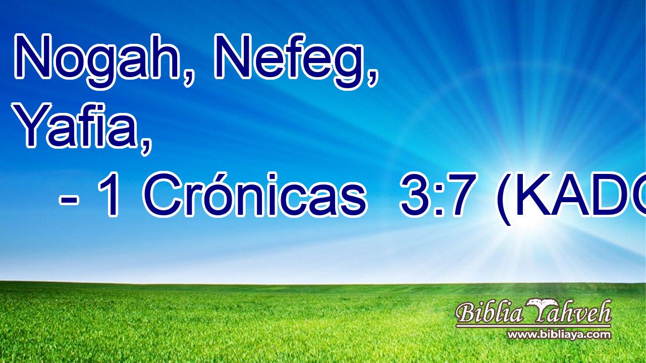  Nogah, Nefeg, Yafia, 