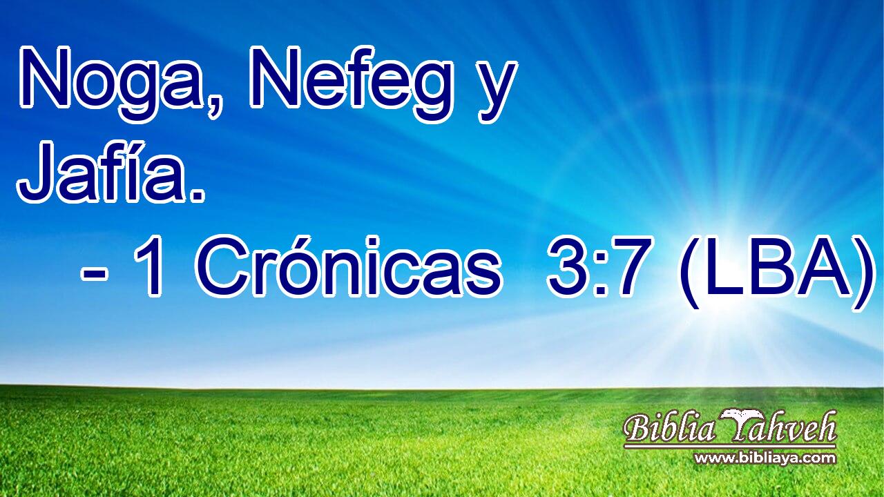 Noga, Nefeg y Jafía.
