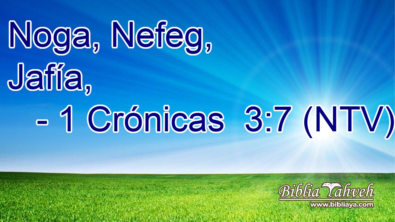 Noga, Nefeg, Jafía,