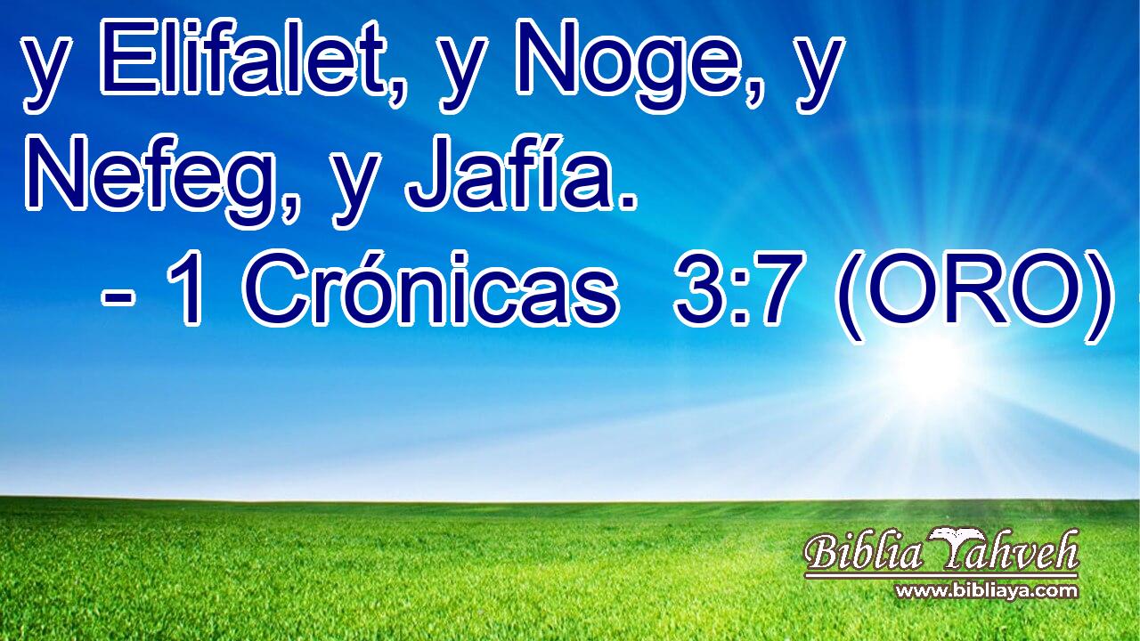  y Elifalet, y Noge, y Nefeg, y Jafía. 