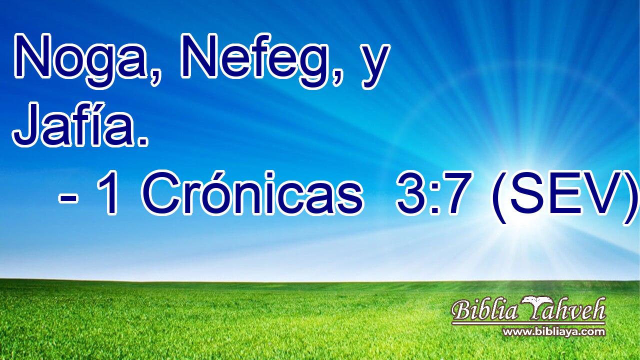 Noga, Nefeg, y Jafía.