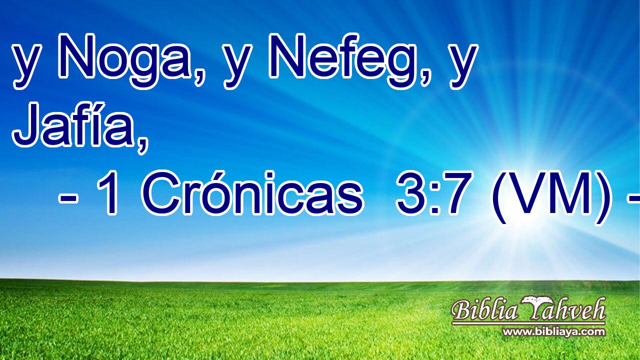 y Noga, y Nefeg, y Jafía, 