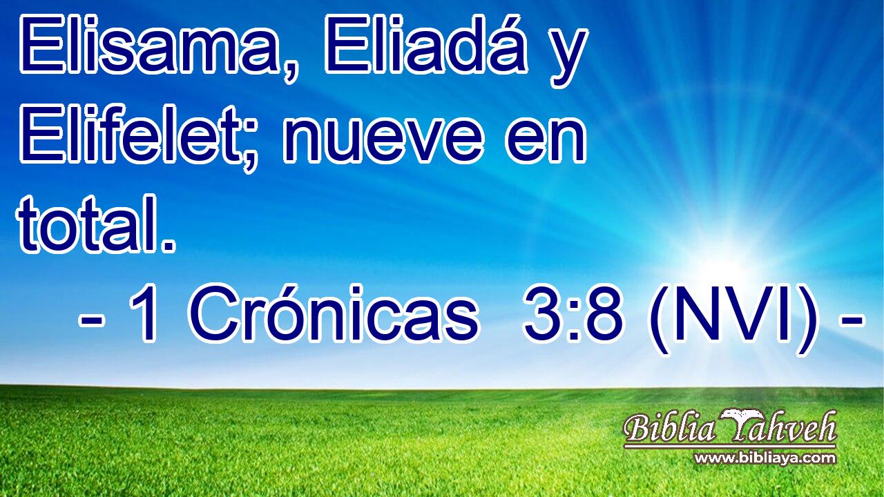  Elisama, Eliadá y Elifelet; nueve en total. 