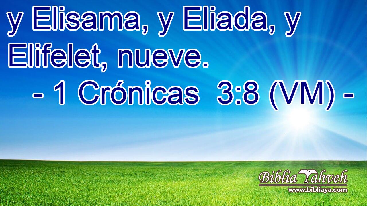 y Elisama, y Eliada, y Elifelet, nueve. 
