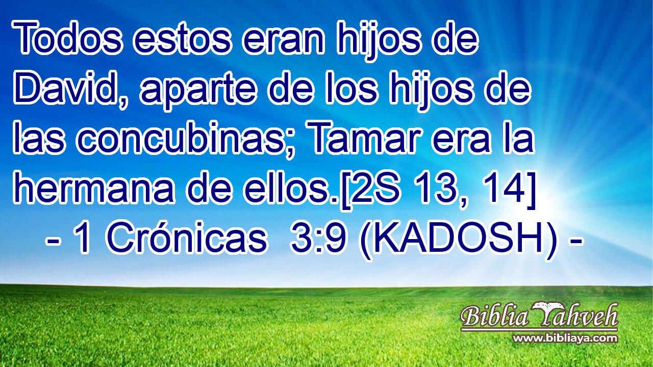  Todos estos eran hijos de David, aparte de los hijos de las concubinas; Tamar era la hermana de ellos.[2S 13, 14] 