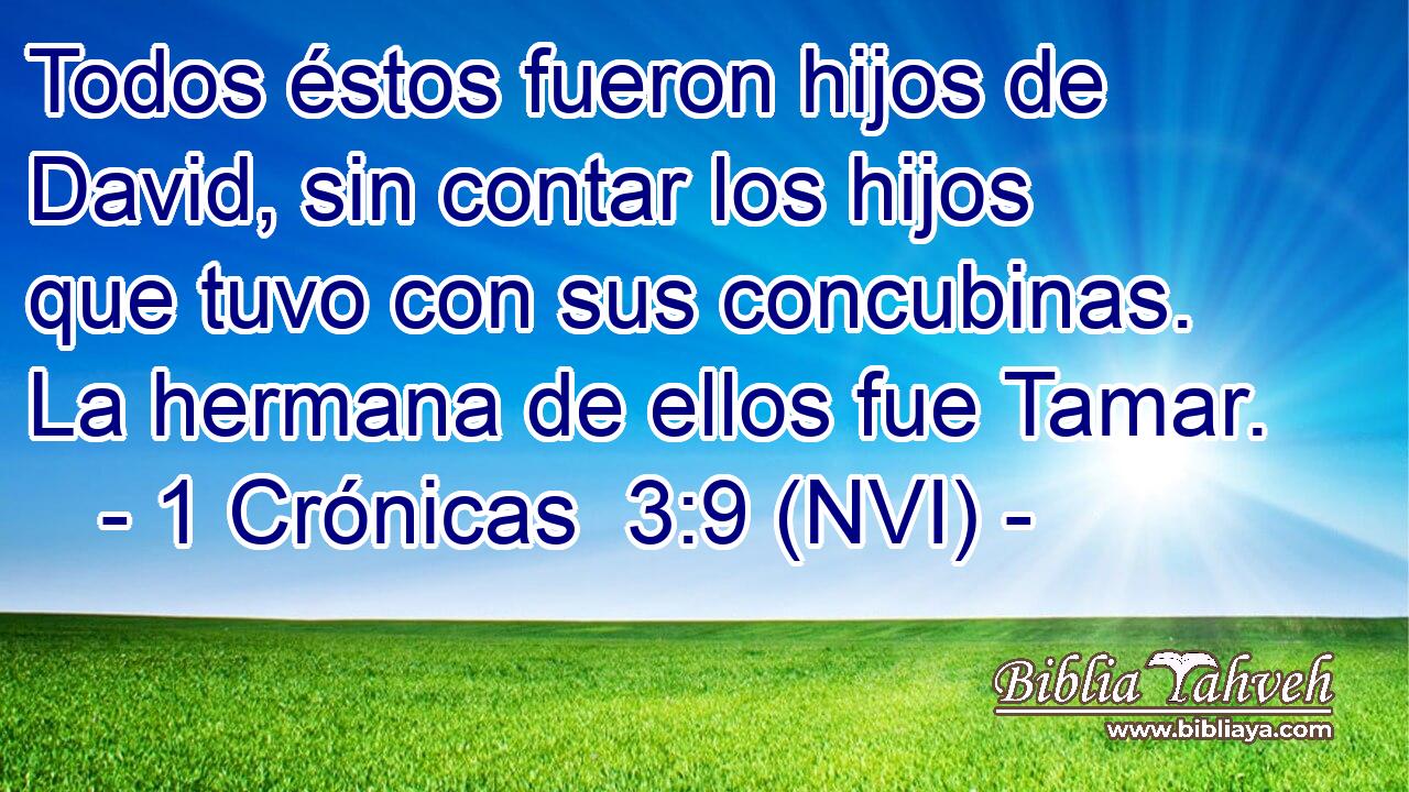  Todos éstos fueron hijos de David, sin contar los hijos que tuvo con sus concubinas. La hermana de ellos fue Tamar. 