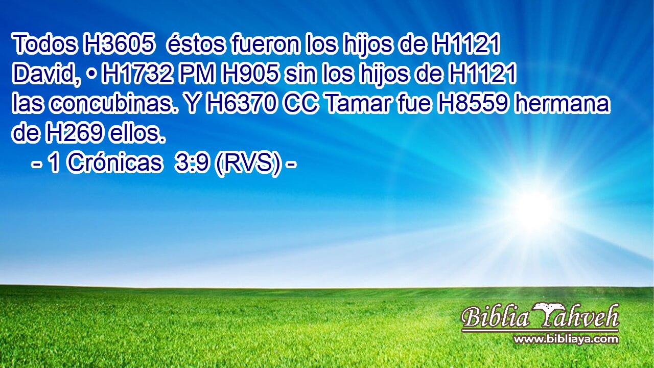 Todos H3605  éstos fueron los hijos de H1121 David, • H1732 PM H905 sin los hijos de H1121 las concubinas. Y H6370 CC Tamar fue H8559 hermana de H269 ellos. 