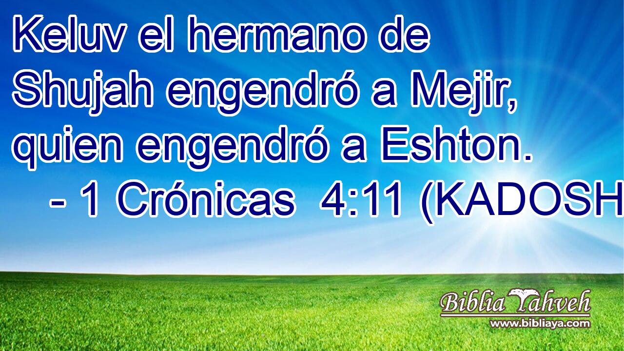  Keluv el hermano de Shujah engendró a Mejir, quien engendró a Eshton. 