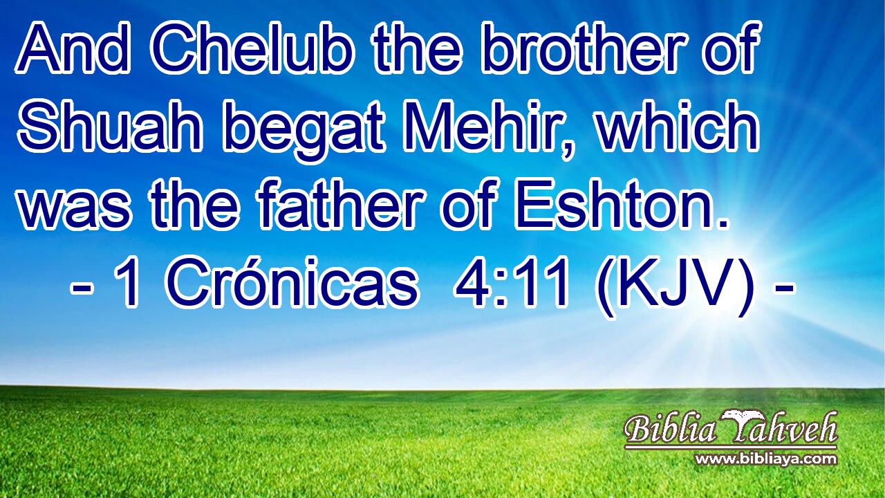 And Chelub the brother of Shuah begat Mehir, which was the father of Eshton.