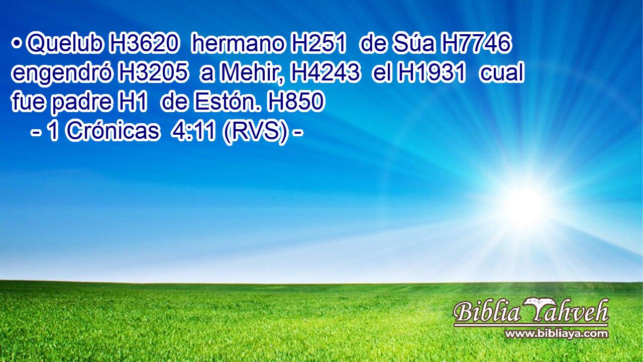 • Quelub H3620  hermano H251  de Súa H7746  engendró H3205  a Mehir, H4243  el H1931  cual fue padre H1  de Estón. H850  