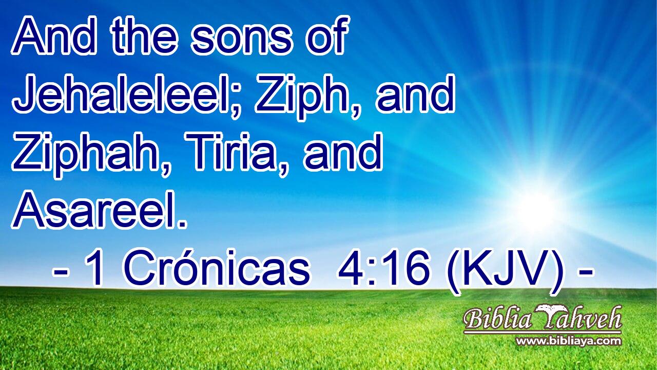 And the sons of Jehaleleel; Ziph, and Ziphah, Tiria, and Asareel.