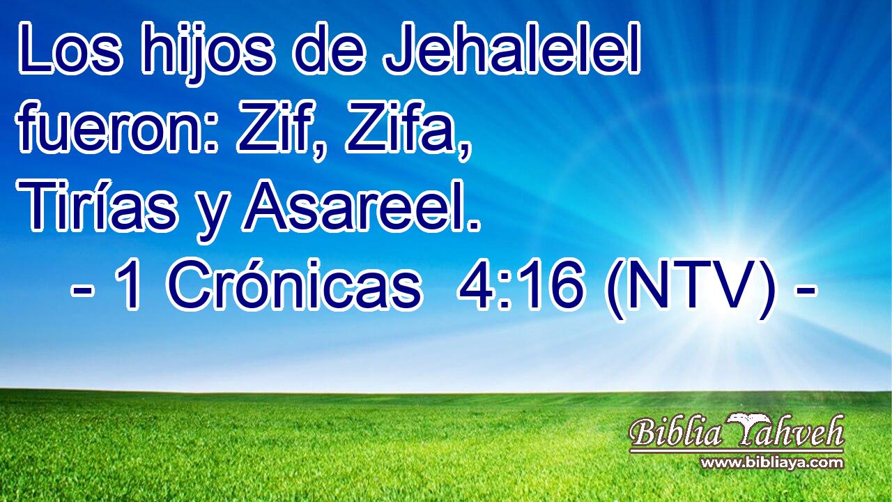Los hijos de Jehalelel fueron: Zif, Zifa, Tirías y Asareel.