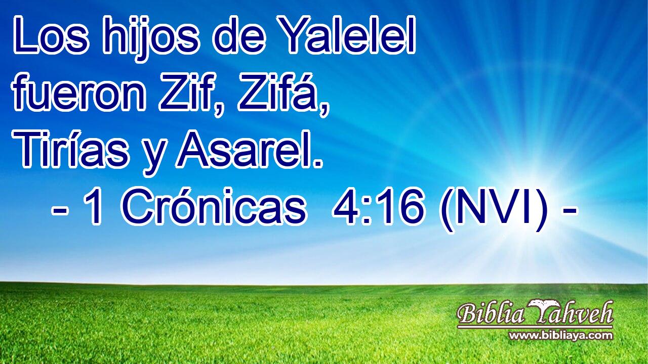  Los hijos de Yalelel fueron Zif, Zifá, Tirías y Asarel. 