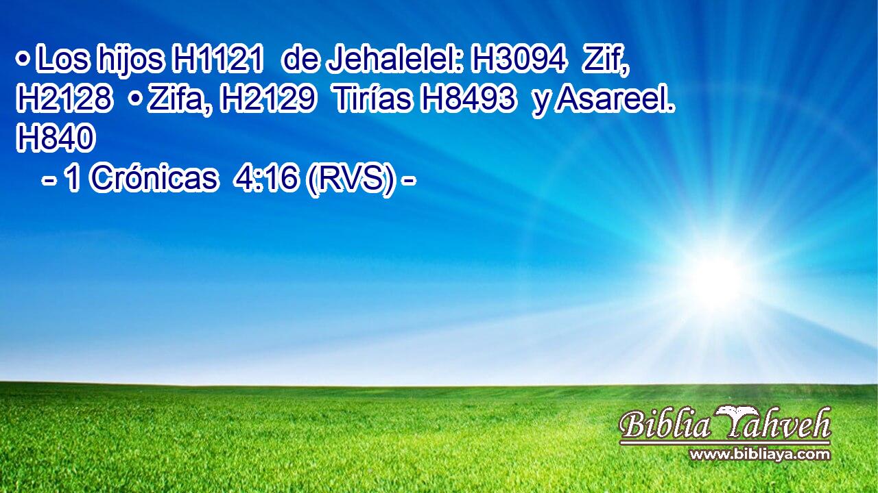 • Los hijos H1121  de Jehalelel: H3094  Zif, H2128  • Zifa, H2129  Tirías H8493  y Asareel. H840  