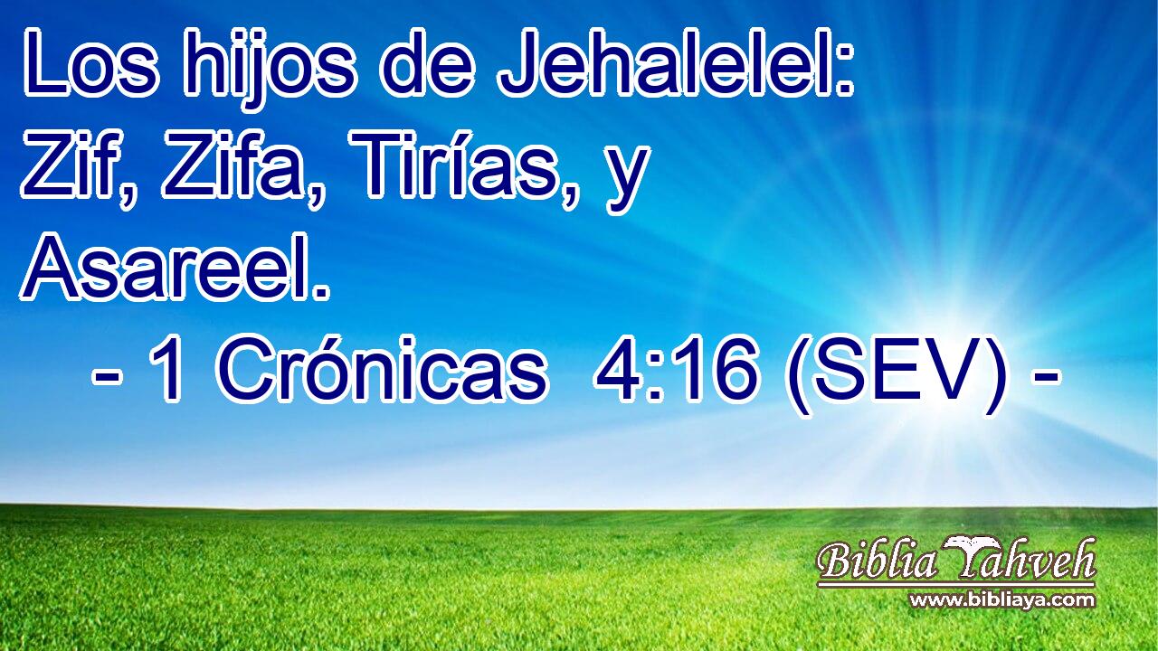 Los hijos de Jehalelel: Zif, Zifa, Tirías, y Asareel.