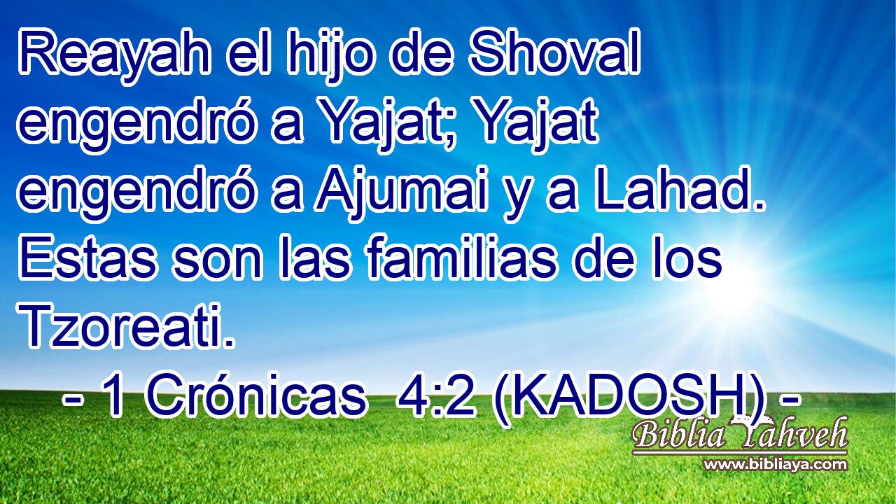  Reayah el hijo de Shoval engendró a Yajat; Yajat engendró a Ajumai y a Lahad. Estas son las familias de los Tzoreati. 