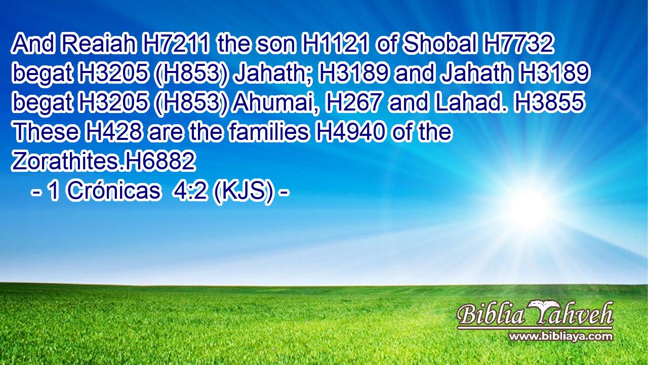 And Reaiah H7211 the son H1121 of Shobal H7732 begat H3205 (H853) Jahath; H3189 and Jahath H3189 begat H3205 (H853) Ahumai, H267 and Lahad. H3855 These H428 are the families H4940 of the Zorathites.H6882