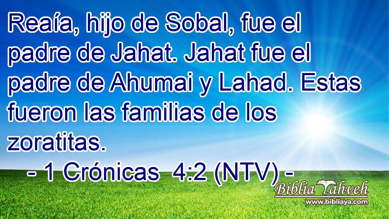 Reaía, hijo de Sobal, fue el padre de Jahat. Jahat fue el padre de Ahumai y Lahad. Estas fueron las familias de los zoratitas.