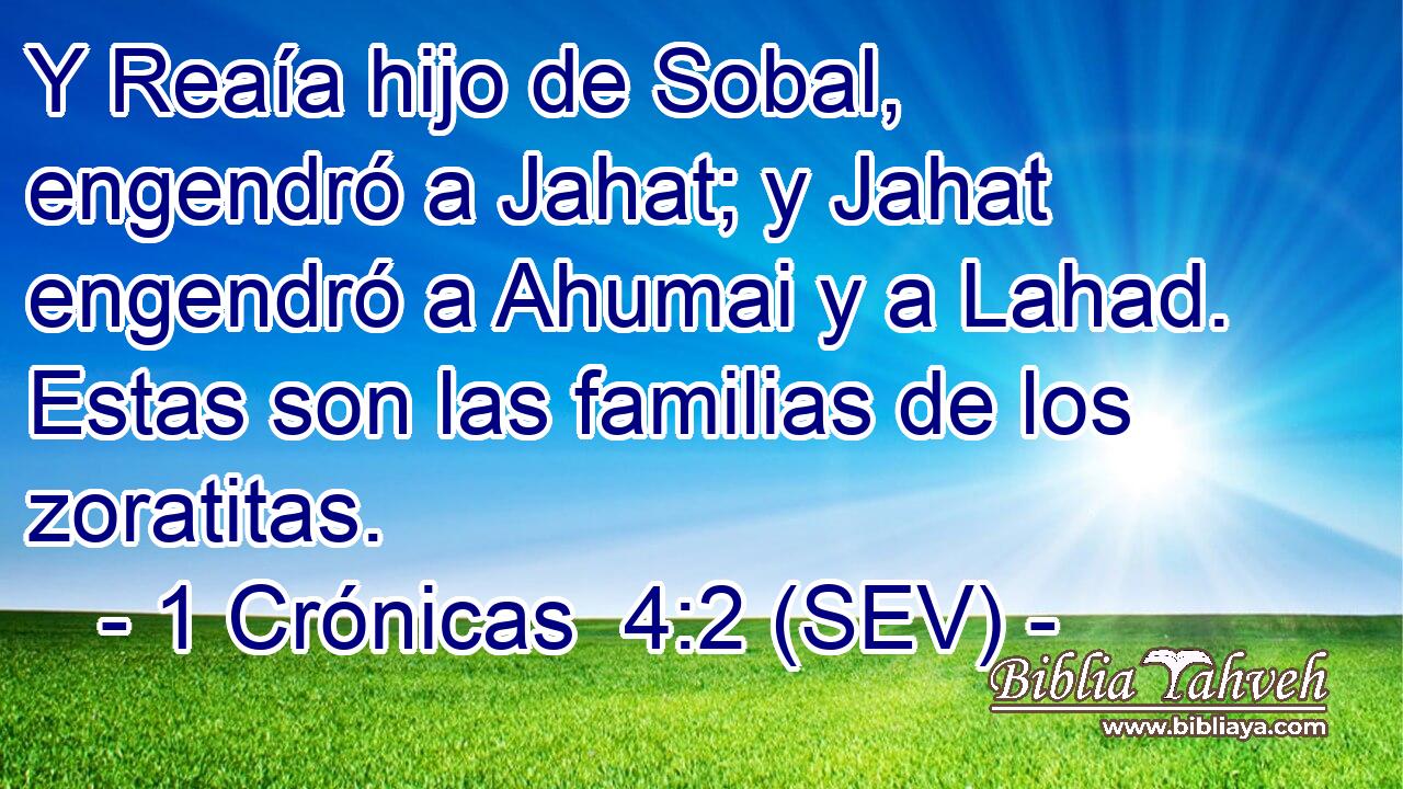 Y Reaía hijo de Sobal, engendró a Jahat; y Jahat engendró a Ahumai y a Lahad. Estas son las familias de los zoratitas.