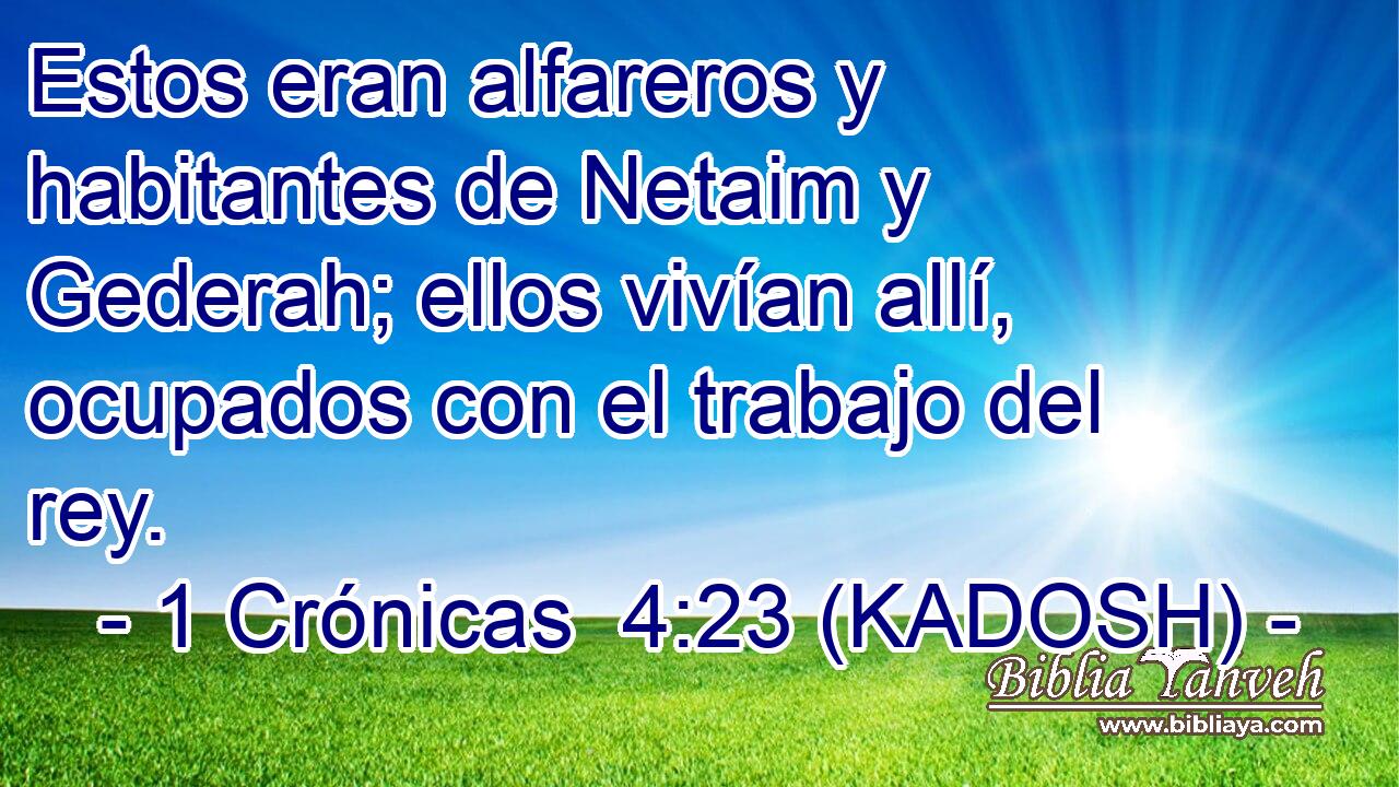  Estos eran alfareros y habitantes de Netaim y Gederah; ellos vivían allí, ocupados con el trabajo del rey. 