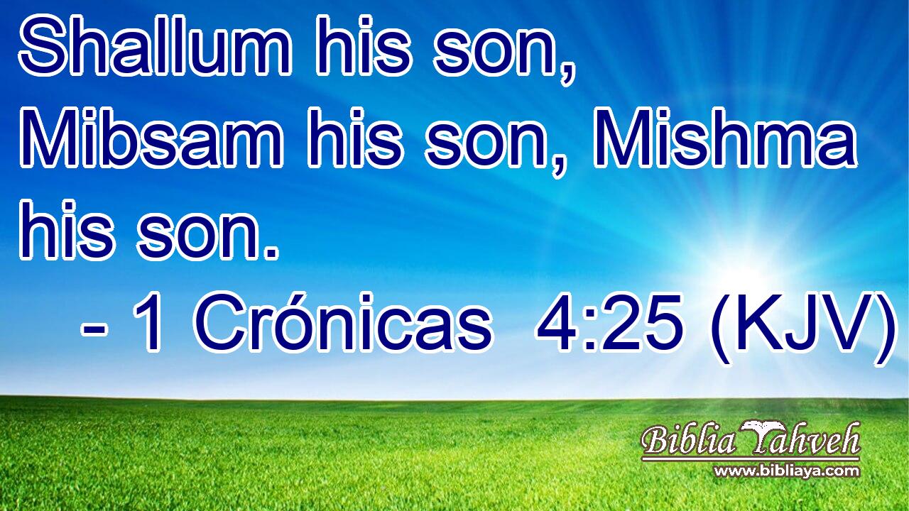 Shallum his son, Mibsam his son, Mishma his son.