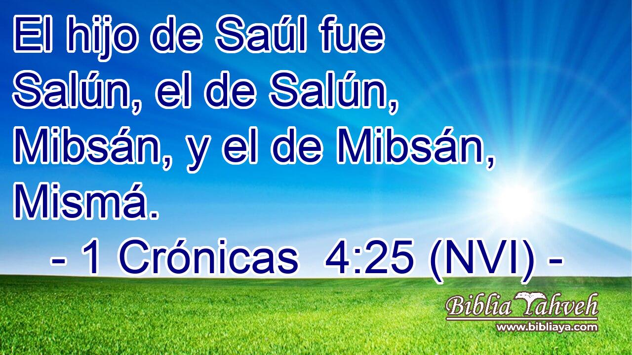  El hijo de Saúl fue Salún, el de Salún, Mibsán, y el de Mibsán, Mismá. 