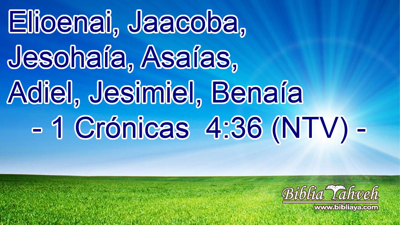 Elioenai, Jaacoba, Jesohaía, Asaías, Adiel, Jesimiel, Benaía