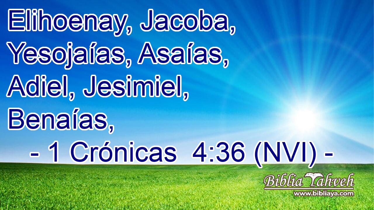  Elihoenay, Jacoba, Yesojaías, Asaías, Adiel, Jesimiel, Benaías, 