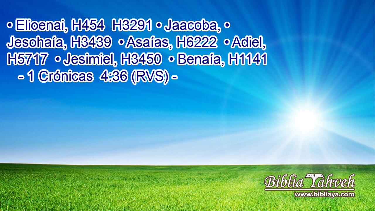 • Elioenai, H454  H3291 • Jaacoba, • Jesohaía, H3439  • Asaías, H6222  • Adiel, H5717  • Jesimiel, H3450  • Benaía, H1141  