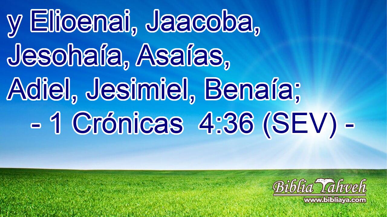 y Elioenai, Jaacoba, Jesohaía, Asaías, Adiel, Jesimiel, Benaía;