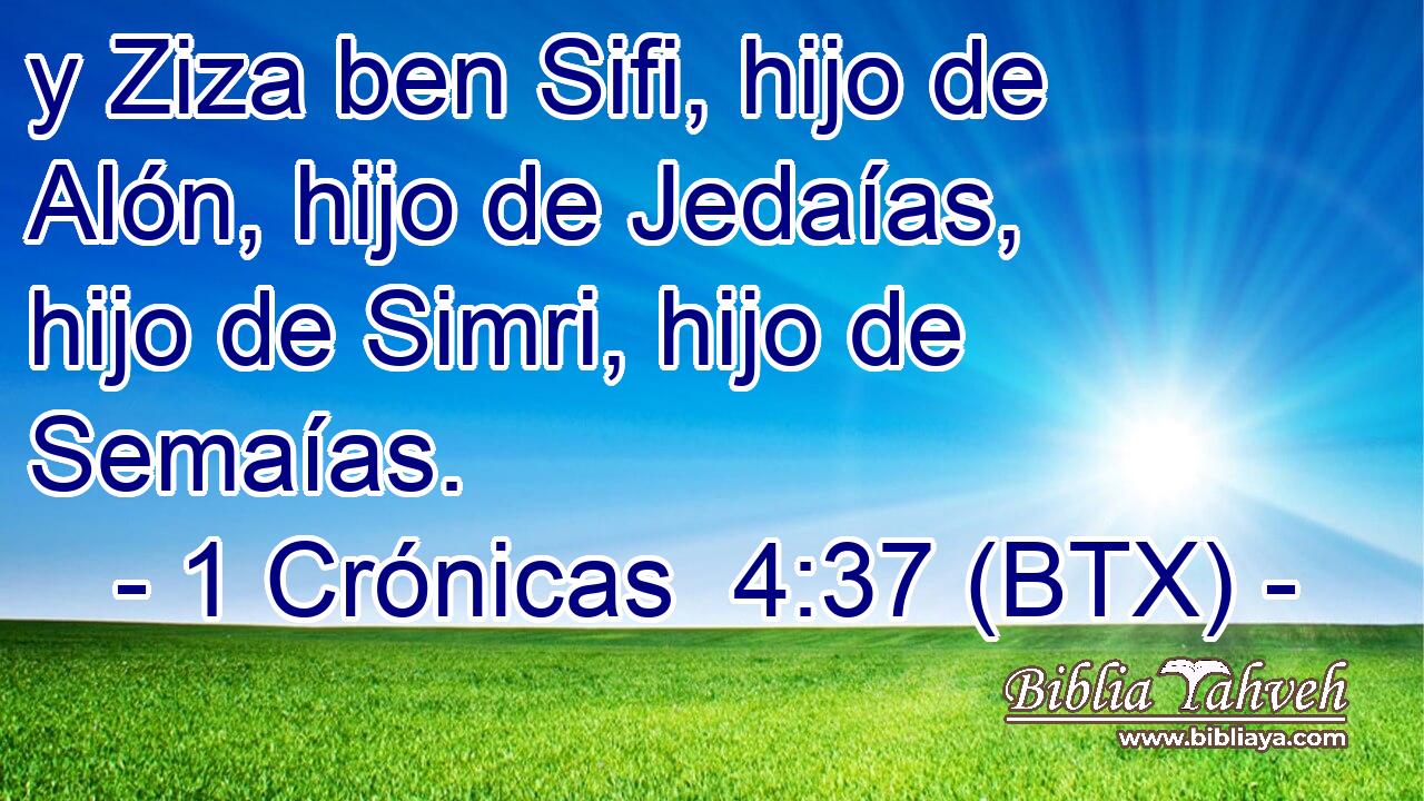 y Ziza ben Sifi, hijo de Alón, hijo de Jedaías, hijo de Simri, hijo de Semaías.