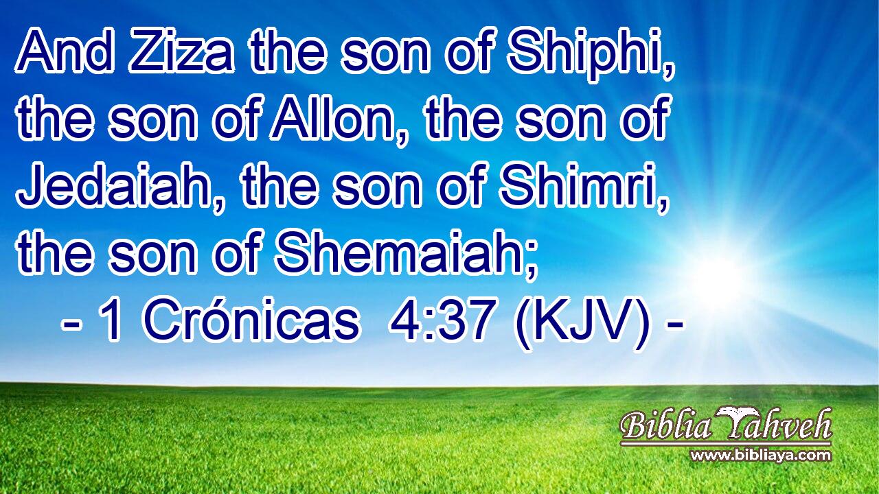 And Ziza the son of Shiphi, the son of Allon, the son of Jedaiah, the son of Shimri, the son of Shemaiah;