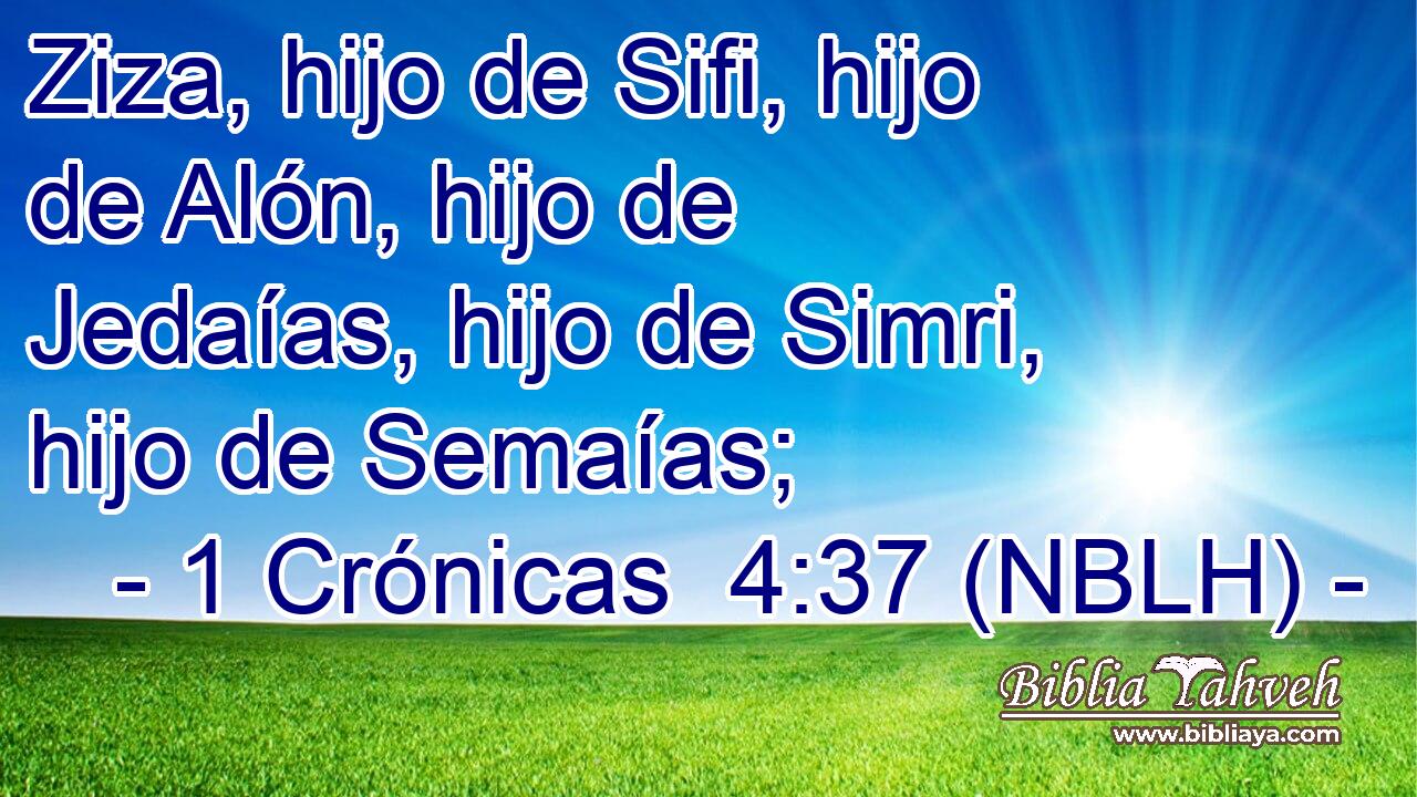  Ziza, hijo de Sifi, hijo de Alón, hijo de Jedaías, hijo de Simri, hijo de Semaías; 