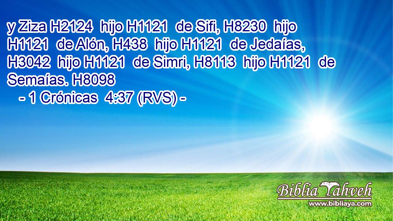 y Ziza H2124  hijo H1121  de Sifi, H8230  hijo H1121  de Alón, H438  hijo H1121  de Jedaías, H3042  hijo H1121  de Simri, H8113  hijo H1121  de Semaías. H8098  