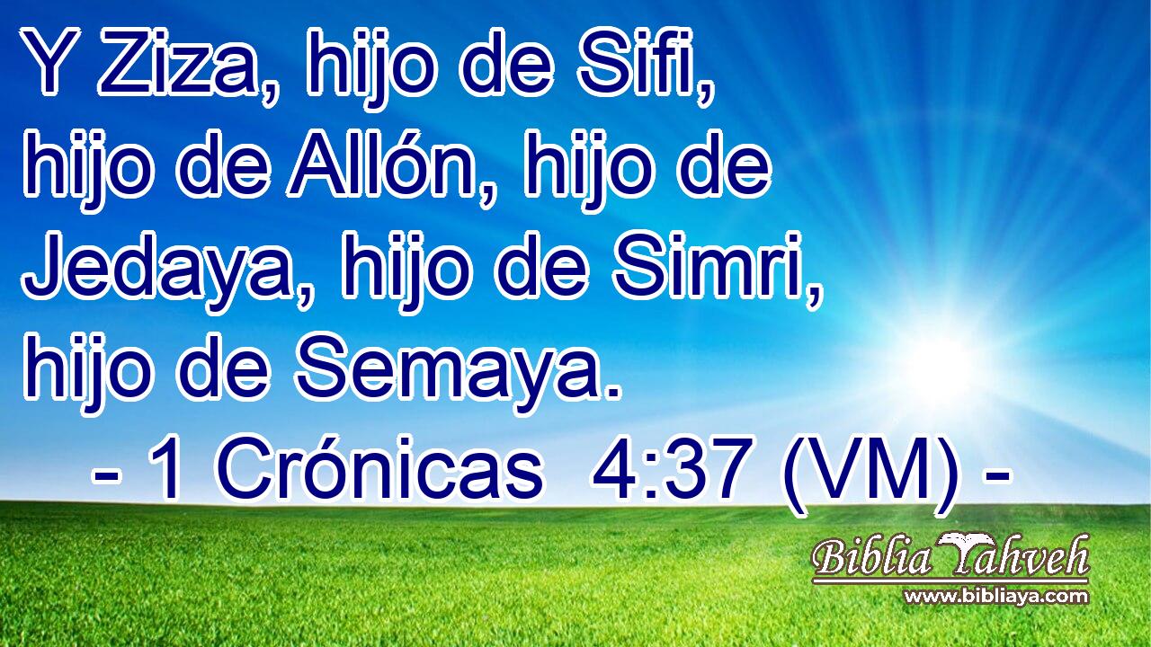  Y Ziza, hijo de Sifi, hijo de Allón, hijo de Jedaya, hijo de Simri, hijo de Semaya. 