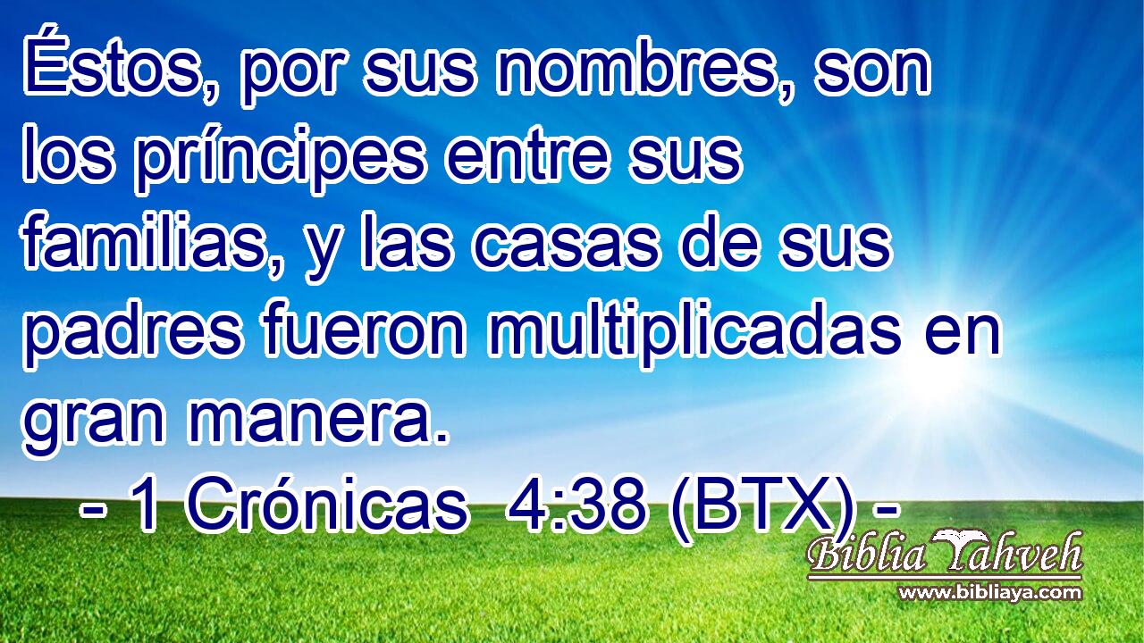 Éstos, por sus nombres, son los príncipes entre sus familias, y las casas de sus padres fueron multiplicadas en gran manera.