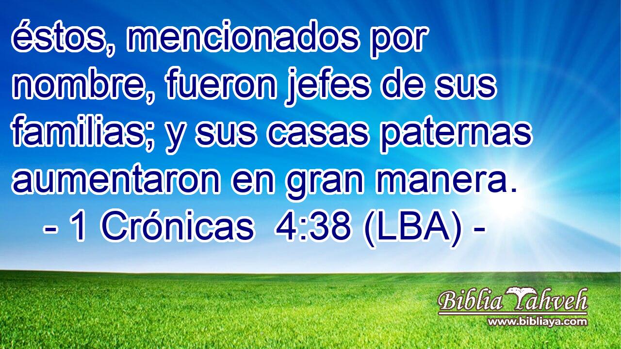 éstos, mencionados por nombre, fueron jefes de sus familias; y sus casas paternas aumentaron en gran manera.