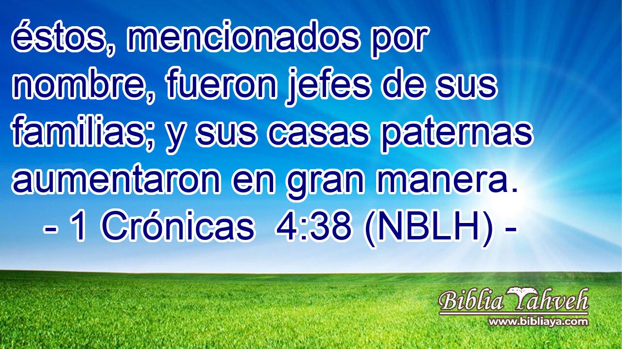  éstos, mencionados por nombre, fueron jefes de sus familias; y sus casas paternas aumentaron en gran manera. 