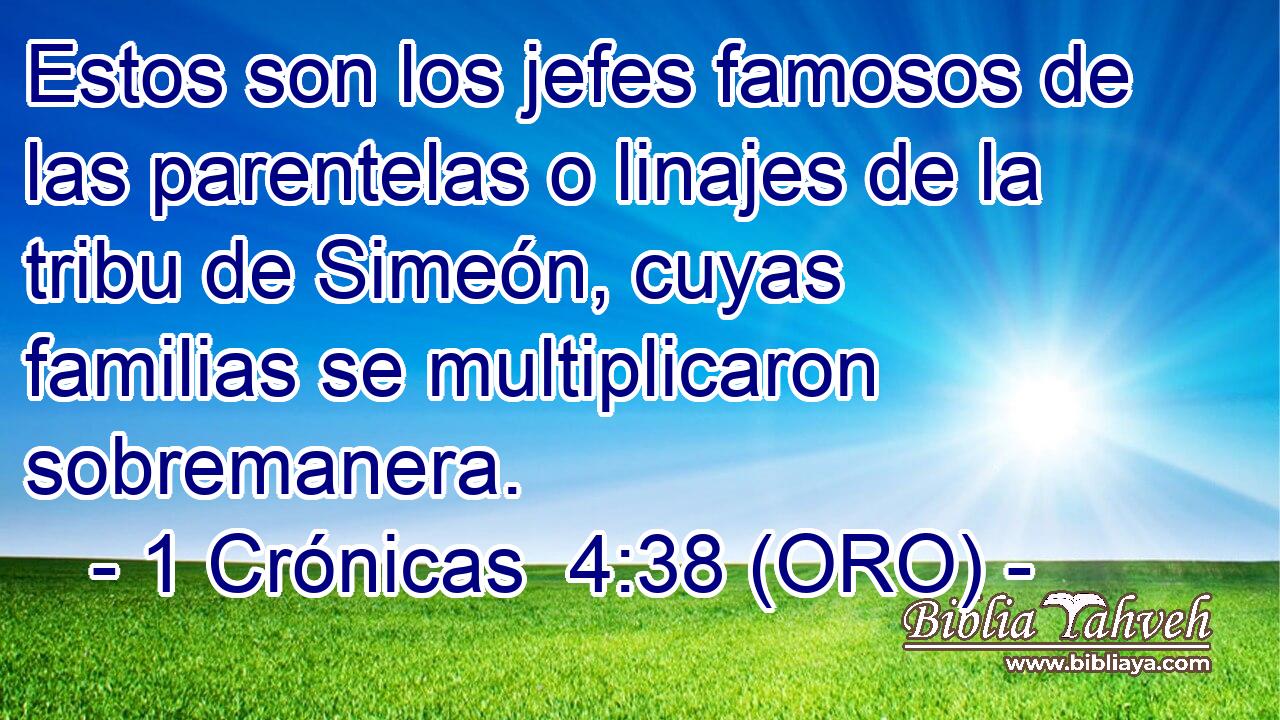 Estos son los jefes famosos de las parentelas o linajes de la tribu de Simeón, cuyas familias se multiplicaron sobremanera. 