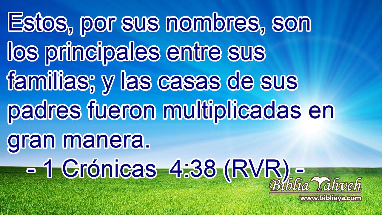 Estos, por sus nombres, son los principales entre sus familias; y las casas de sus padres fueron multiplicadas en gran manera.