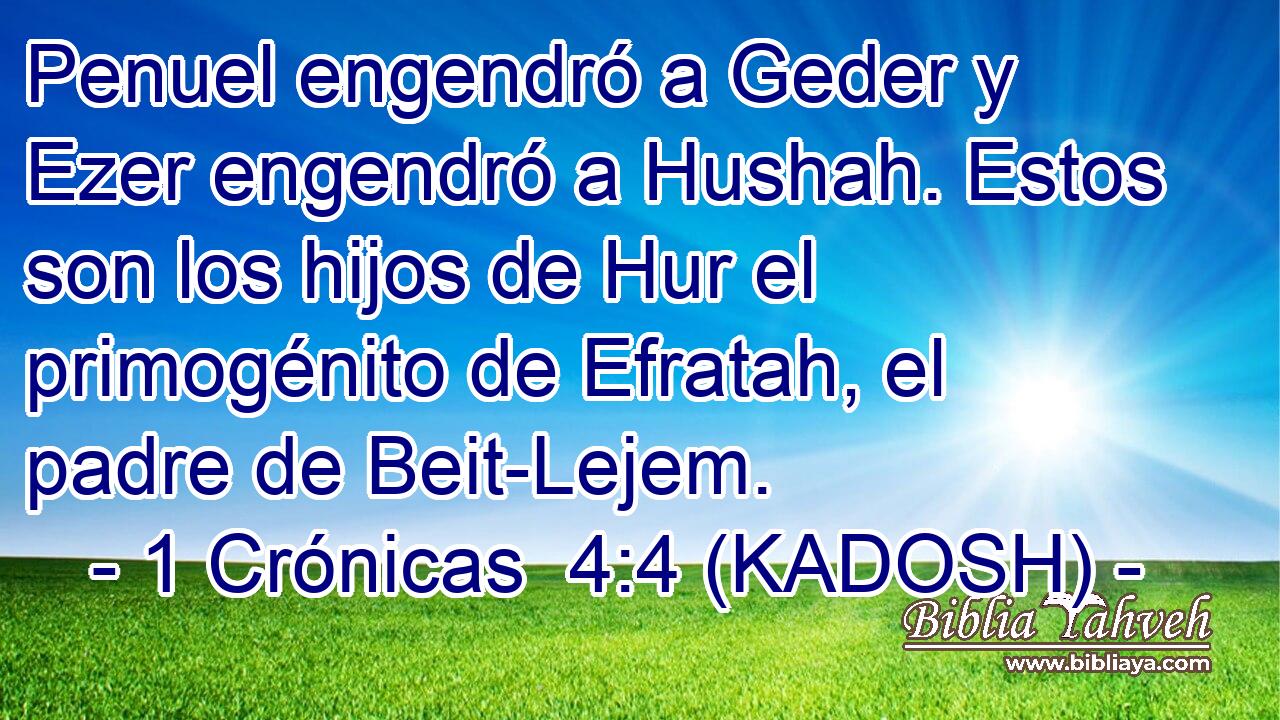  Penuel engendró a Geder y Ezer engendró a Hushah. Estos son los hijos de Hur el primogénito de Efratah, el padre de Beit-Lejem. 